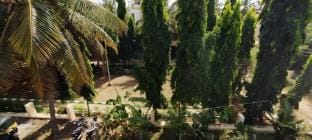 Park View 1BHK Budget Friendly cozy stay Vacation rental in Mysuru