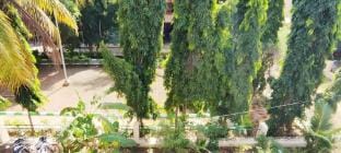 Park View 1BHK Budget Friendly cozy stay Vacation rental in Mysuru