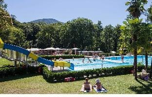 Apartment in quiet area with charming view of Lake Maggiore and mountains Apartment in Canton of Ticino