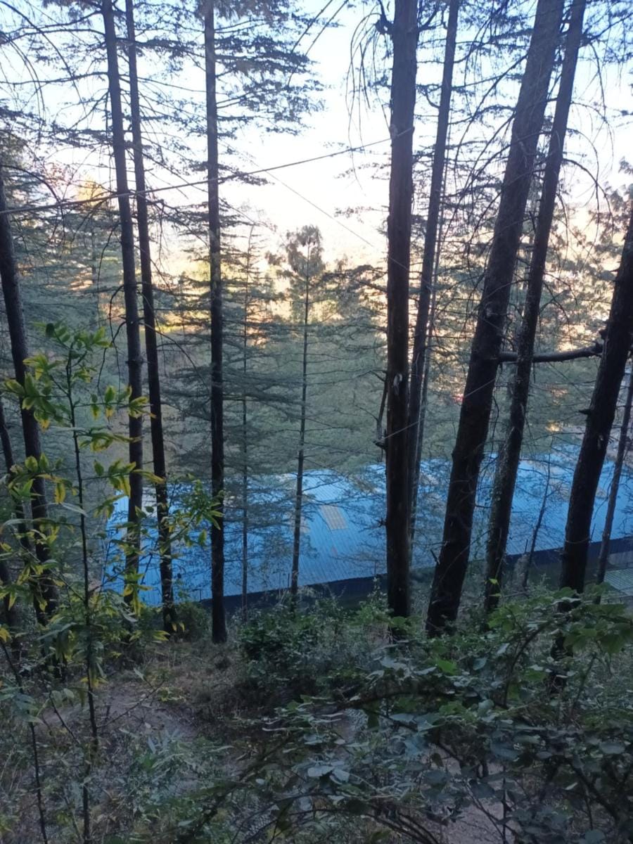 Him Aaranya Homestay Shimla Vacation rental in Shimla