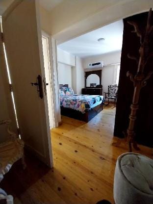 Alexander history apartment Apartment in Alexandria