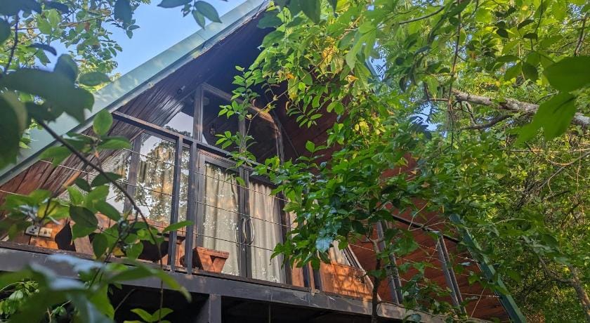 The Wild Yala Resort in Southern Province