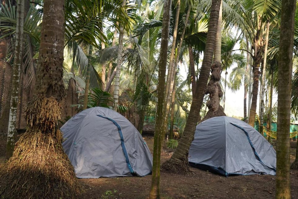 The Cocario Hotel in Maharashtra