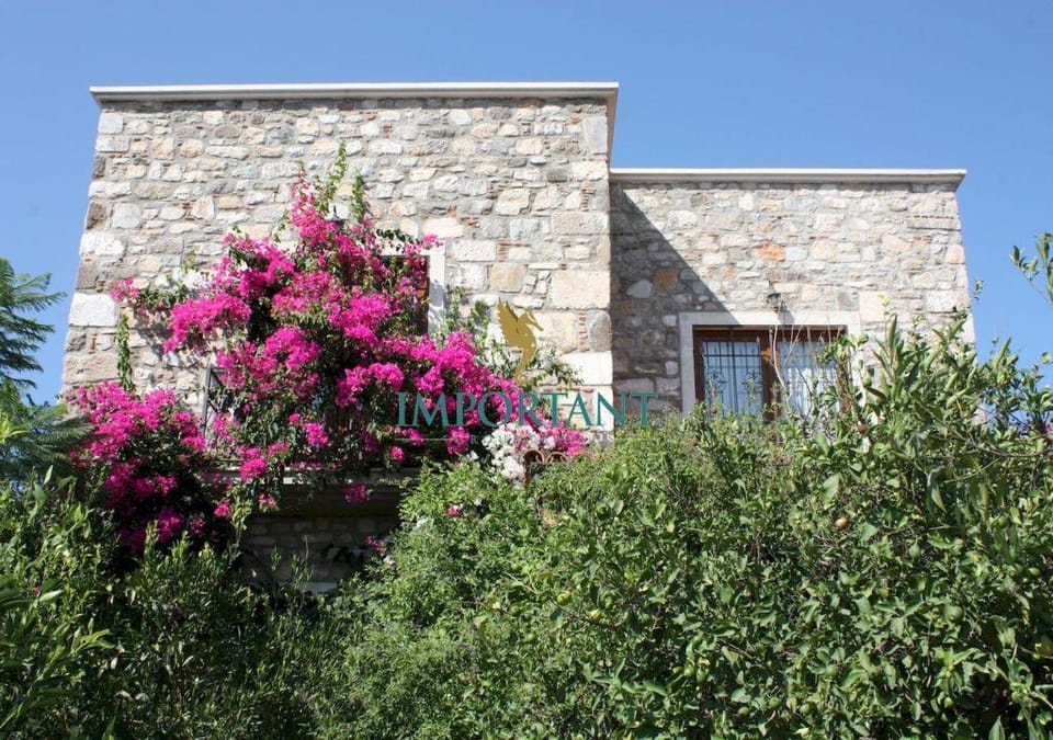 Villa Mandarin by Important Group Travel Villa in Bodrum