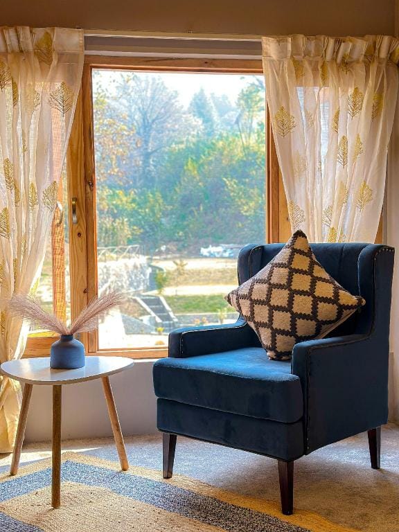 Peek-a-boo at Zaznar Vacation rental in India
