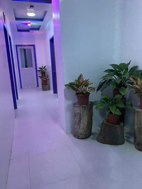 Oslob La RamonasPlace:Perpecto’sRoom good for 6pax Apartment in Oslob