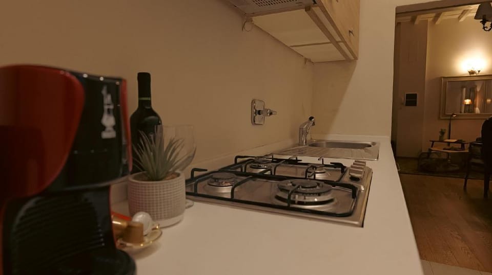 Amorino Vintage Apartment in Florence