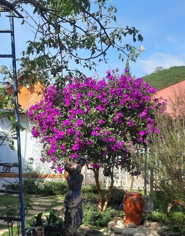 Nơi thả muộn phiền đổi lấy bình yên  Vacation rental in Dalat