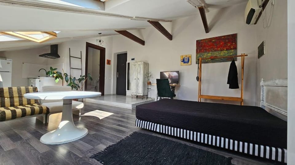 Ekas   LofT in central Tbilisi Apartment in Tbilisi, Georgia