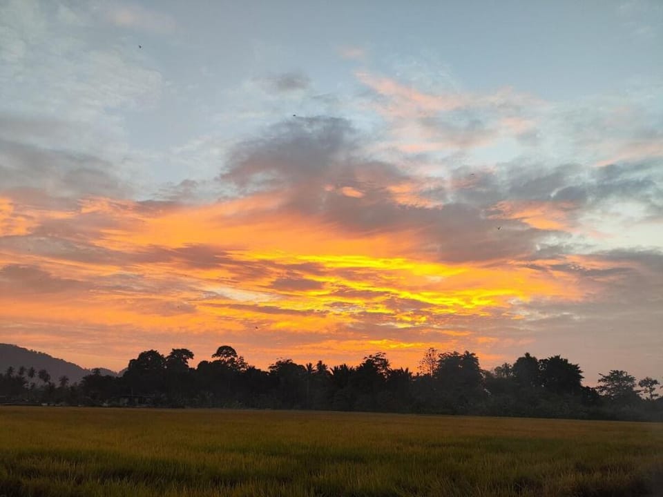 Mai Paddy Cottage, Balik Pulau Vacation rental in Penang