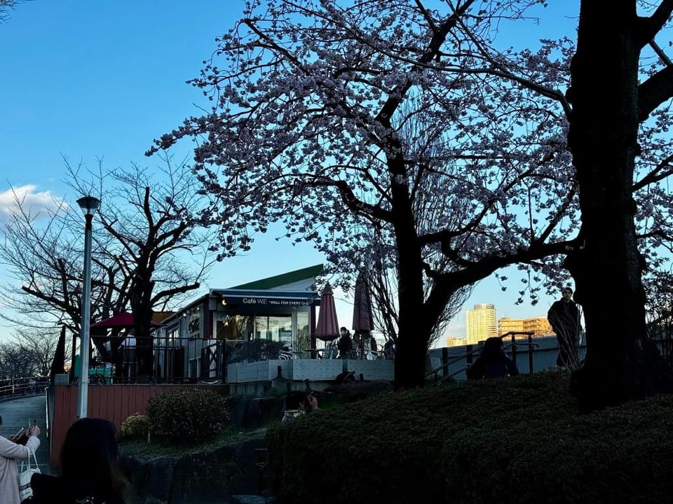 CoCoHouse Asakusa - SkyTree View , 72㎡ Apartment in Japan