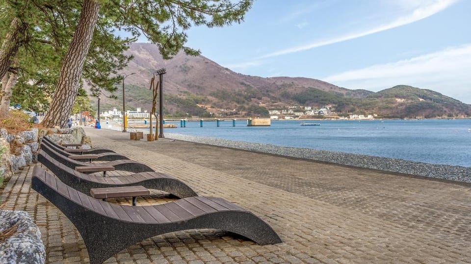 Geoje Blueberry Pet Pension Bed and Breakfast in South Korea