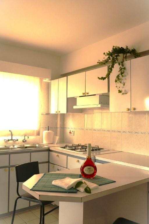 Proudly Local Conveniently Central Vacation rental in Nicosia City