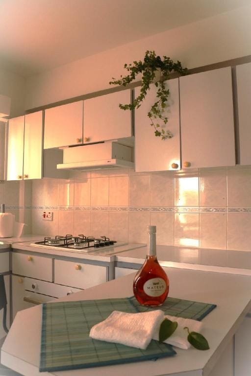 Proudly Local Conveniently Central Vacation rental in Nicosia City