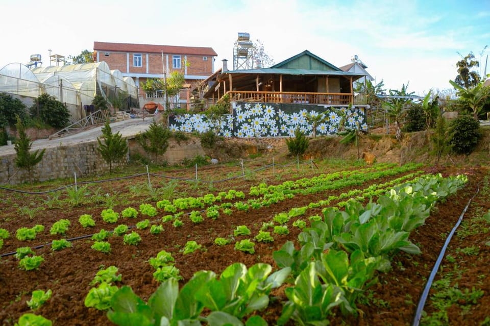 Trạm Gió Homestay Vacation rental in Dalat