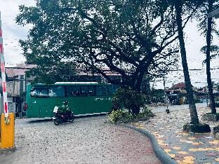 Hatchi’a Homestay at Mactan Oasis Garden Condo  Apartment in Lapu-Lapu City