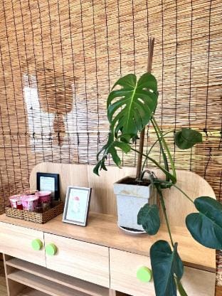 Separate Apartment 2 Bedrooms in the Center with Garden Apartment in Dalat