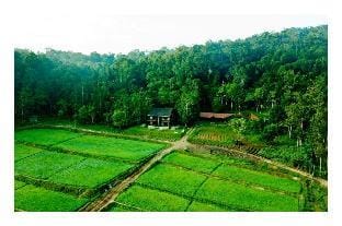 Vayal Veedu - Luxury Farm Villas by the woods Farm Stay in Kerala