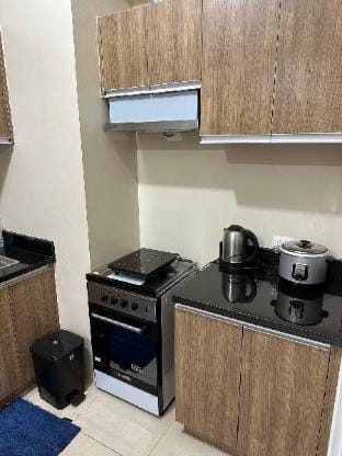 Elegant 2 Bedroom Unit @Avida#27 Apartment in Iloilo City