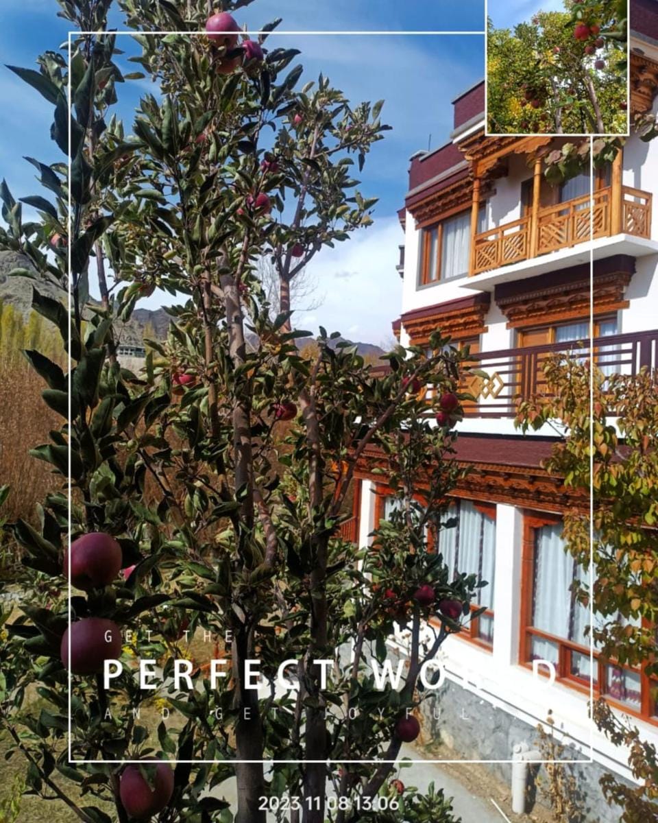 The Kart-Sey Ladakh Hotel in India