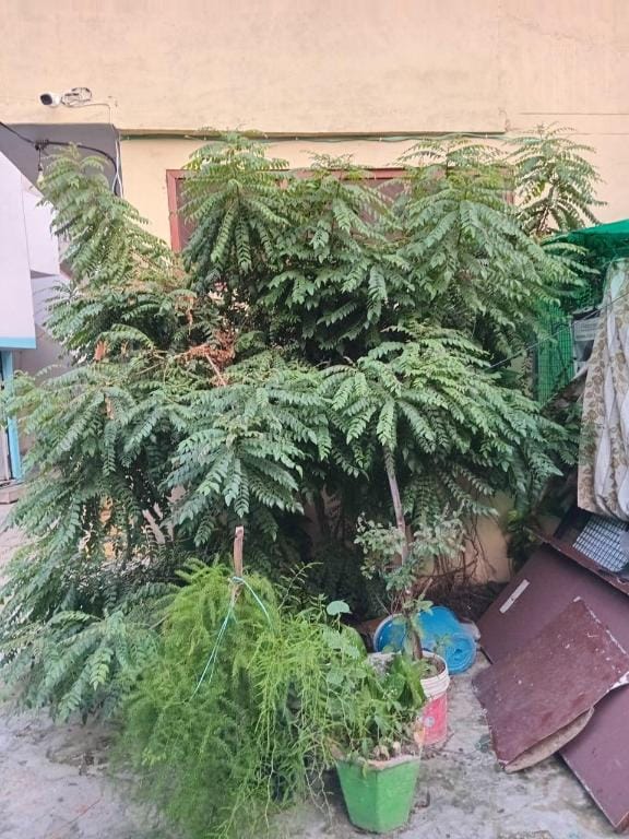 Sandhya Guest House Bed and Breakfast in Nepal