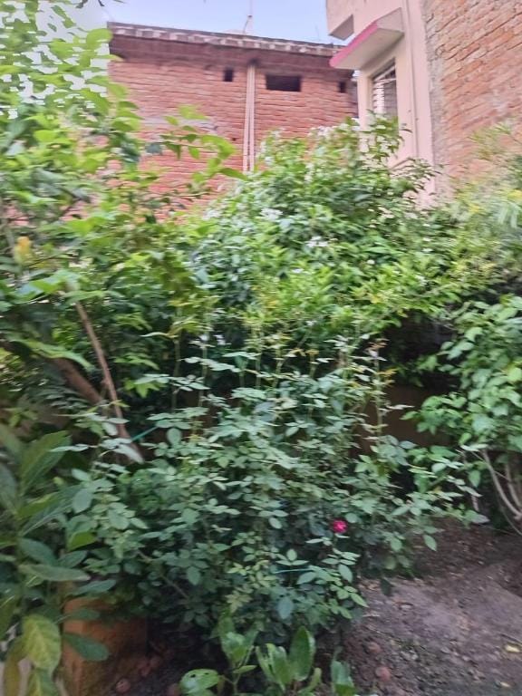 Sandhya Guest House Bed and Breakfast in Nepal