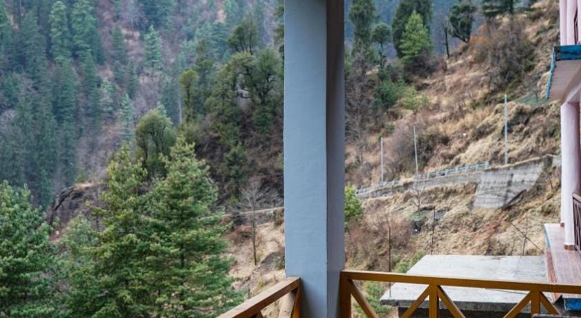 The Forest Pinnacle & Cafe , Sojha Hotel in Himachal Pradesh