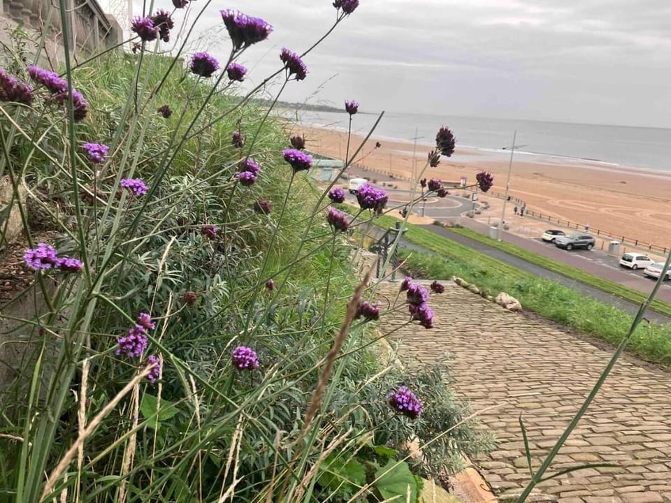Stadium, Central, Secure Free Parking, Wi-Fi Vacation rental in Sunderland