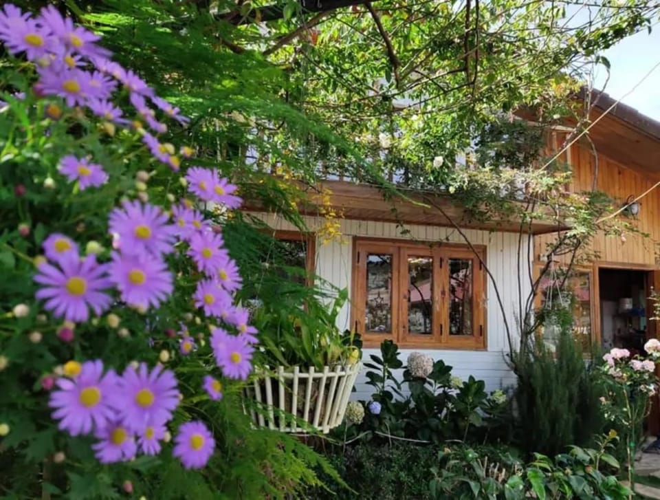 Nhà Sen Đá  Vacation rental in Dalat