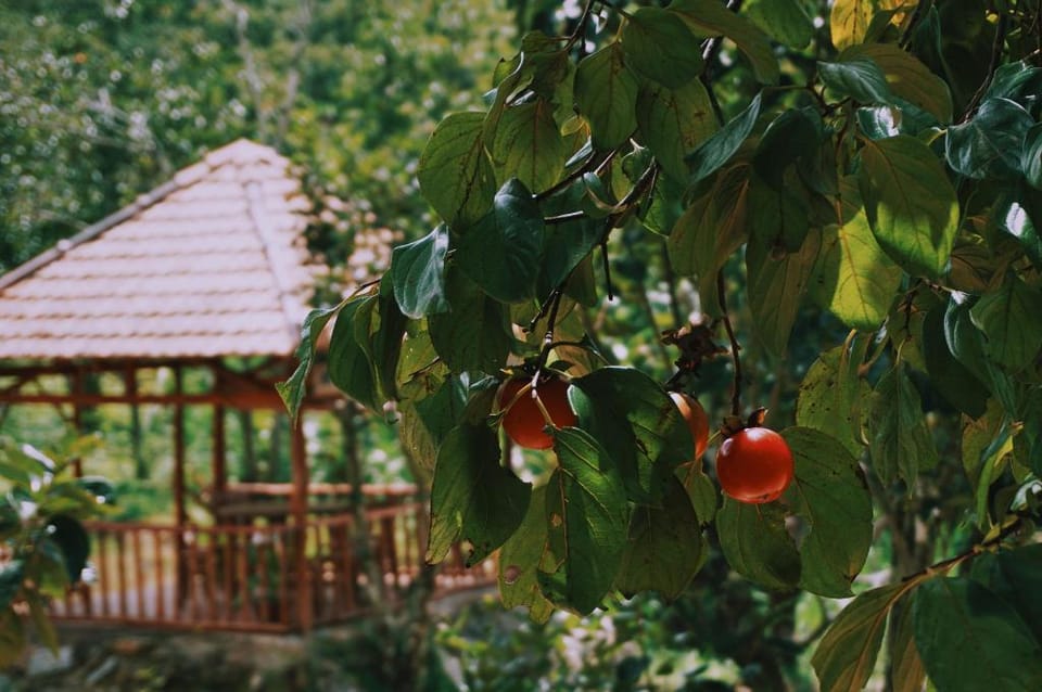 Du An Garden Forest Retreat Vacation rental in Lâm Đồng