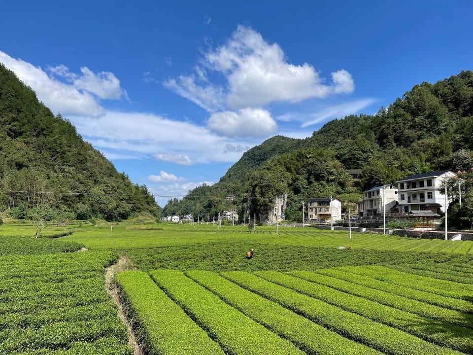 Valley Oasis Villa Vacation rental in Hubei