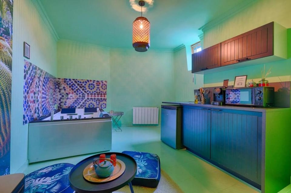 Luxury Magic Cactus Garden PARIS ORLY Apartment in Île-de-France