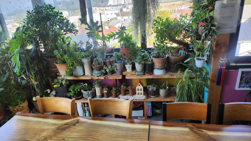 Fantastic Ocean View, Indoor Plant Garden, Fireplace, 30-Pyeong House Vacation rental in South Korea
