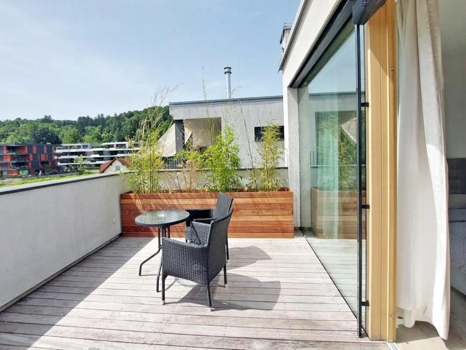 Penthouse terrace studio 41 (for up to 4 guests) Apartment in Ljubljana