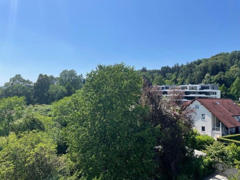 Penthouse terrace studio 41 (for up to 4 guests) Apartment in Ljubljana