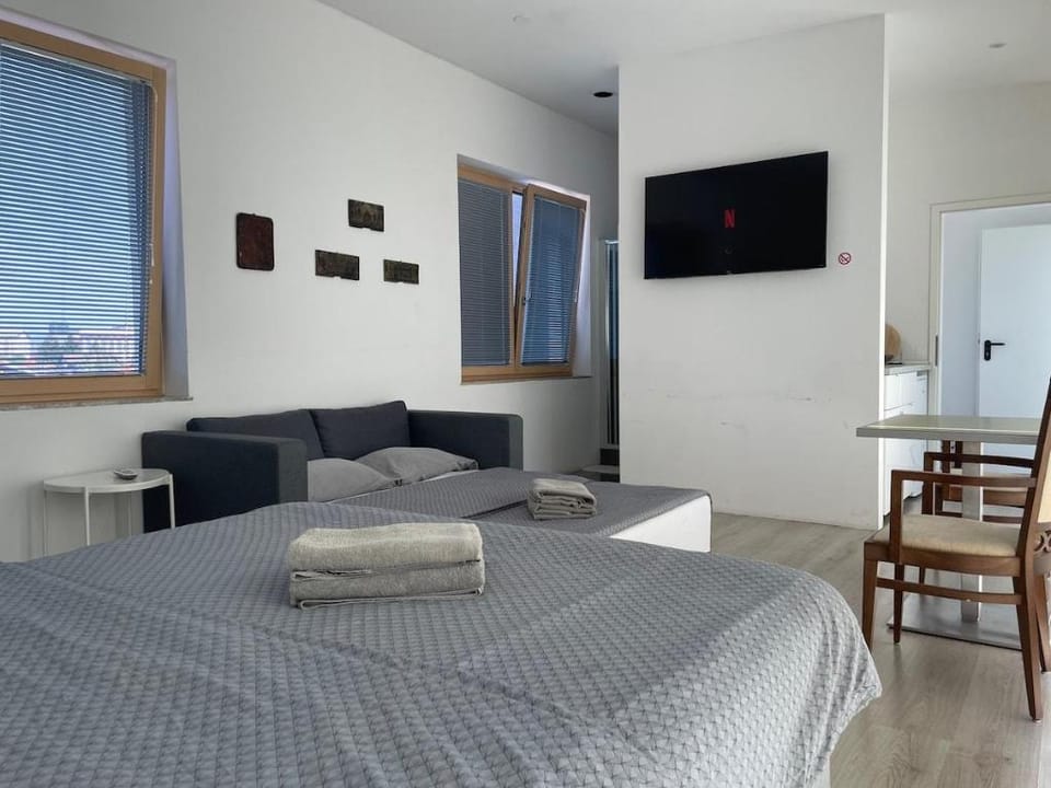 ROYAL Penthouse apartment (entire floor) Vacation rental in Ljubljana