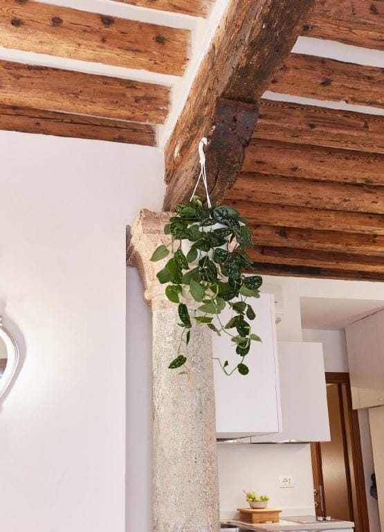 [VENEZIA-RIALTO] CASA COLONNA (A/C WiFi) Apartment in Venice