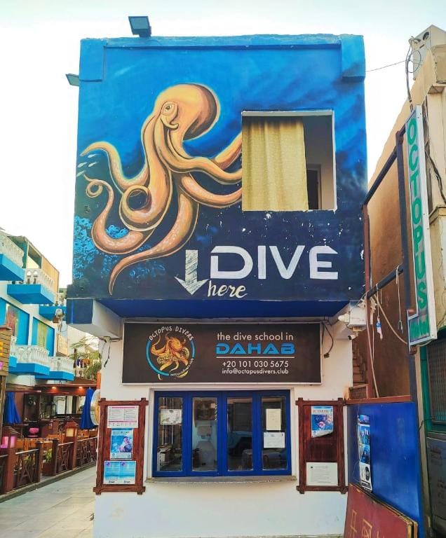 Dahab house octopd aprtment Apartment in South Sinai Governorate