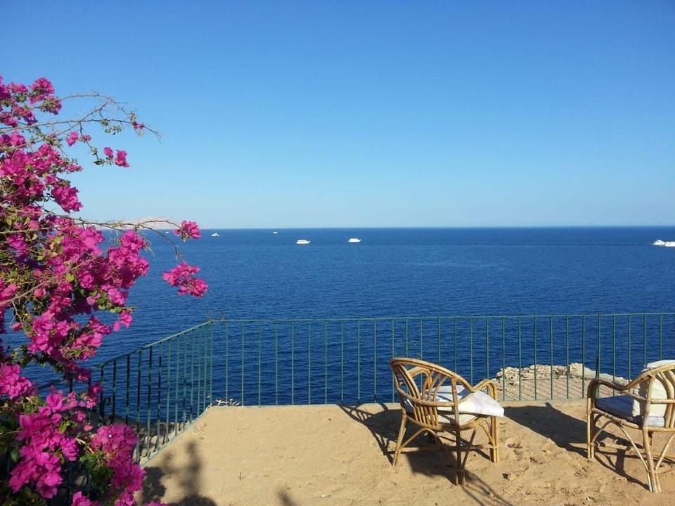 Holiday villa in Sharm El Sheikh on the beach Villa in South Sinai Governorate