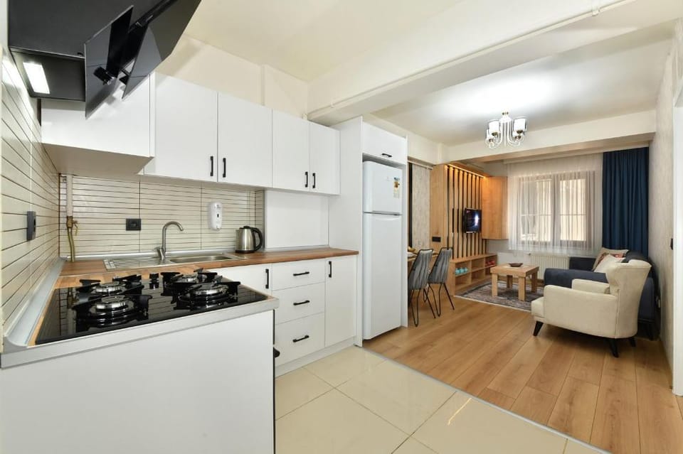 Somer Suite 3 / Luxury Apartment in Istanbul Sisli Apartment in Istanbul