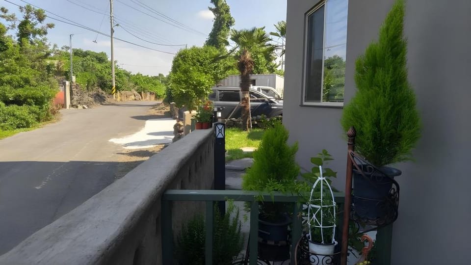 Vamos Dog Pension Bed and Breakfast in South Korea