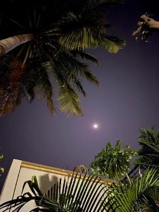 Tekri farms and retreat Farm Stay in India