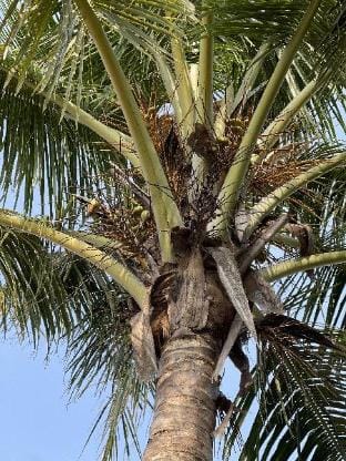 Tekri farms and retreat Farm Stay in India