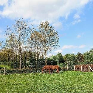Domaine du Bosc Roger Country House in Normandy