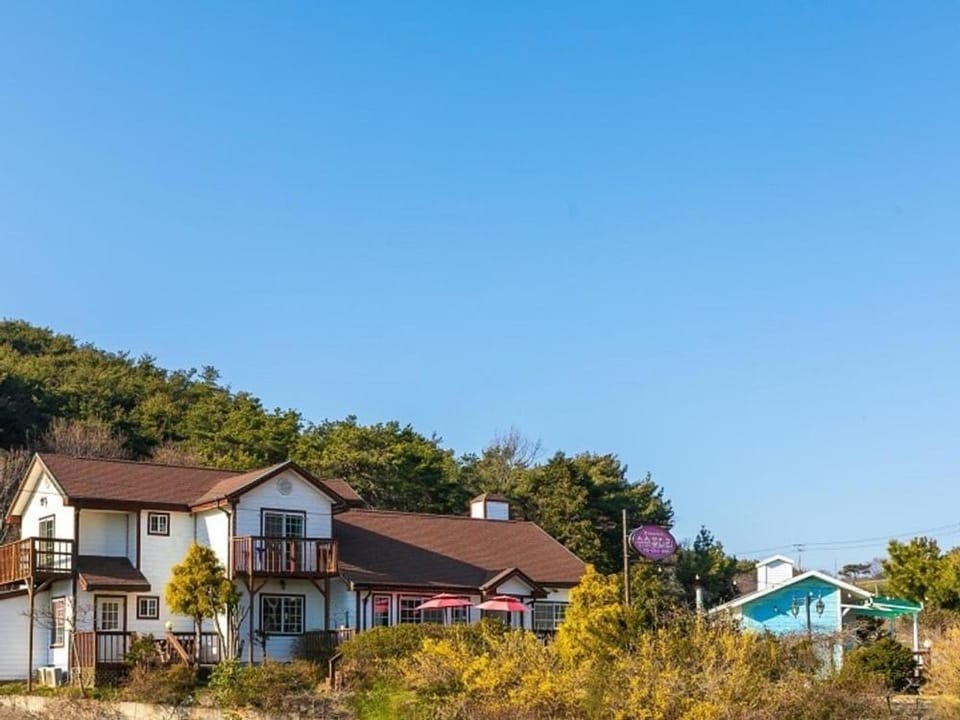 Anmyeondo susukotdari Pension Bed and Breakfast in South Korea