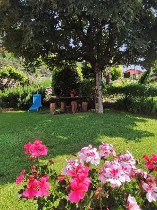 Experience holiday near  Gardalake and Monte Baldo Apartment in Trentino-South Tyrol