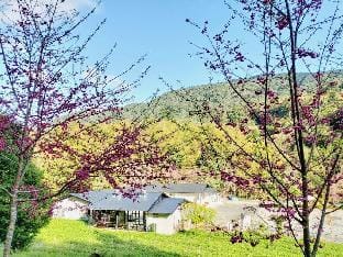 chikesakura homestay 赤科山櫻之谷民宿 Vacation rental in Taiwan, Province of China