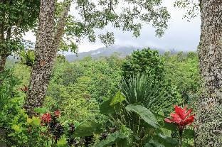 Mulia Bali Garden Bungalow Vacation rental in Bali