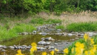 Gapyeong Okulri Pension Bed and Breakfast in Gyeonggi-do