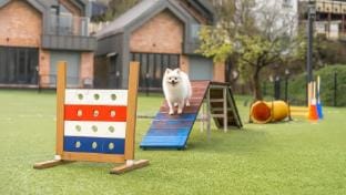 Gapyeong meong Valley pension Bed and Breakfast in Gyeonggi-do